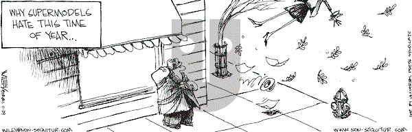 Non Sequitur on Thursday November 29, 2001 Comic Strip