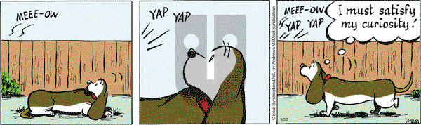 Fred Basset on Monday September 20, 2021 Comic Strip