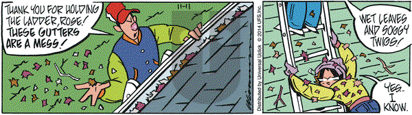 Rose is Rose on Tuesday November 11, 2014 Comic Strip
