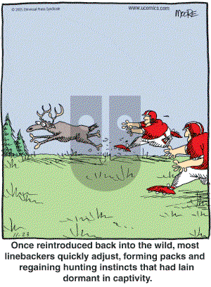 In the Bleachers - Wednesday November 23, 2005 Comic Strip