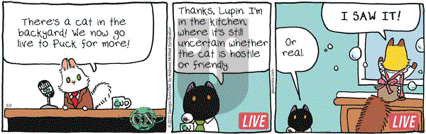 Breaking Cat News on Tuesday May 2, 2017 Comic Strip