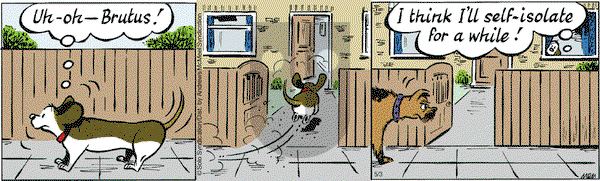 Fred Basset on Monday May 3, 2021 Comic Strip