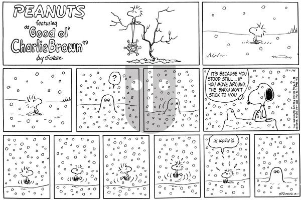 Peanuts on Sunday November 14, 1976 Comic Strip