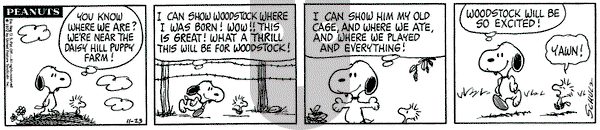 Peanuts on Thursday November 23, 1972 Comic Strip