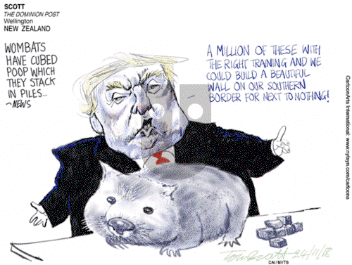ViewsLatinAmerica on Wednesday November 28, 2018 Comic Strip