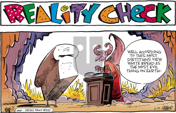 Reality Check on Sunday June 22, 2014 Comic Strip