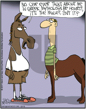 The Flying McCoys on Friday December 15, 2017 Comic Strip
