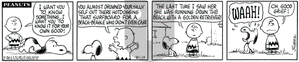 Peanuts on Friday August 13, 1965 Comic Strip