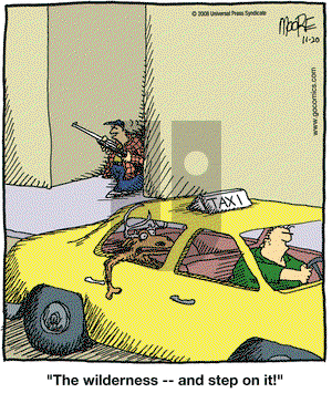 In the Bleachers on Thursday November 20, 2008 Comic Strip