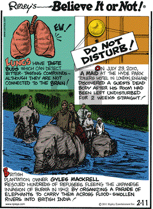Ripley's Believe It or Not - Friday February 11, 2011 Comic Strip