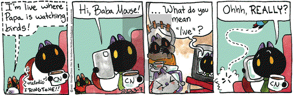 Breaking Cat News on Friday March 7, 2025 Comic Strip