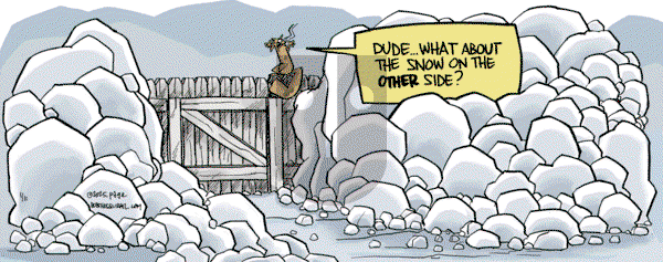 Bob the Squirrel - Saturday January 11, 2025 Comic Strip