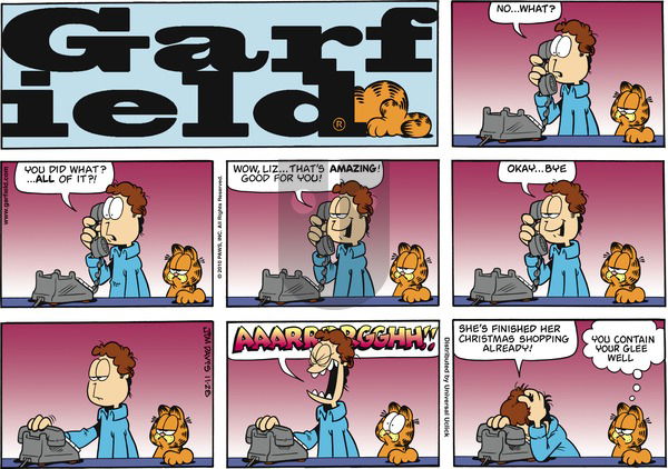 Garfield - Sunday November 28, 2010 Comic Strip
