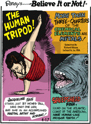 Ripley's Believe It or Not - Saturday April 17, 2010 Comic Strip