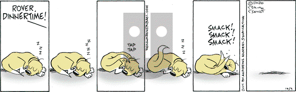 Red and Rover on Wednesday December 9, 2020 Comic Strip
