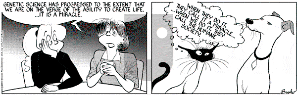 9 Chickweed Lane on Wednesday April 11, 2001 Comic Strip