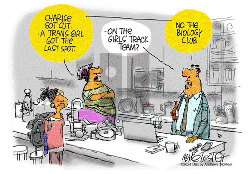 Mike Lester on Tuesday November 26, 2024 Comic Strip
