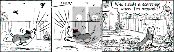 Fred Basset on Thursday July 23, 2009 Comic Strip