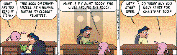Pearls Before Swine - Wednesday December 4, 2013 Comic Strip