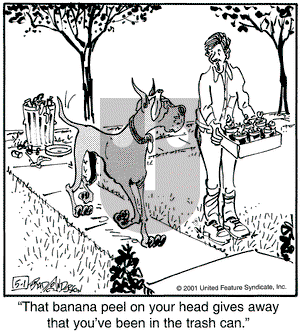 Marmaduke on Tuesday May 1, 2001 Comic Strip