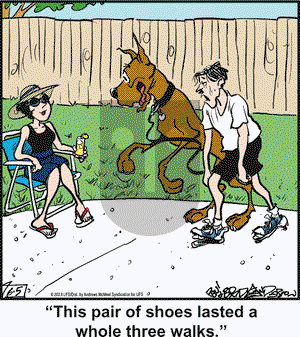 Marmaduke - Monday June 5, 2023 Comic Strip