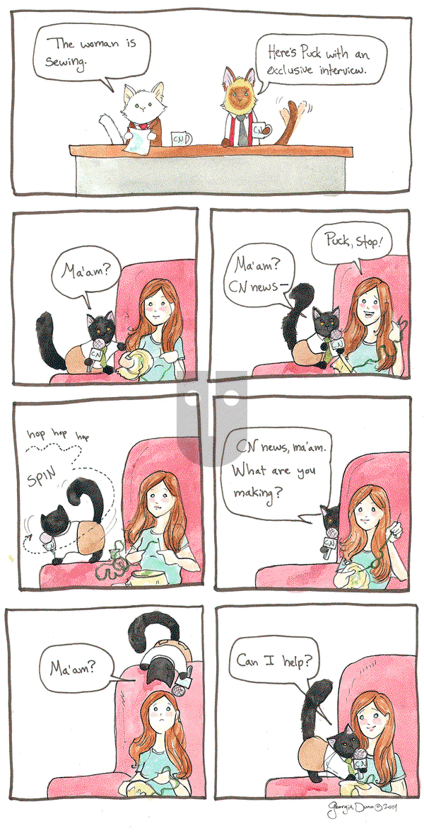 Breaking Cat News on Thursday January 29, 2015 Comic Strip