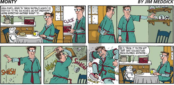 Monty on Sunday January 29, 2017 Comic Strip
