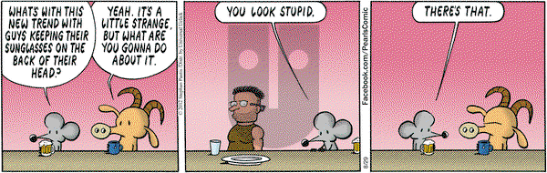 Pearls Before Swine - Wednesday August 29, 2012 Comic Strip