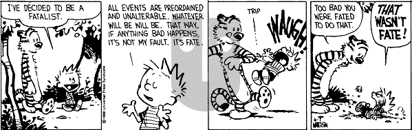 Calvin and Hobbes - Tuesday June 7, 1988 Comic Strip