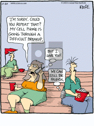 In the Bleachers - Thursday November 20, 2003 Comic Strip