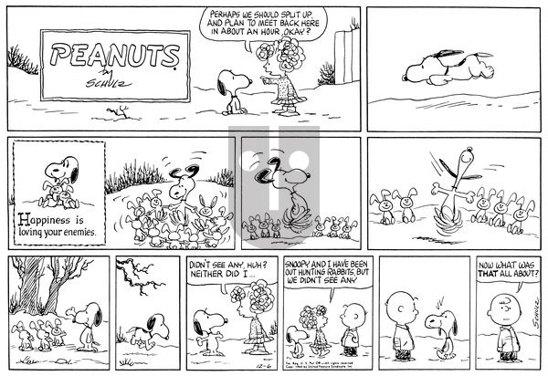 Peanuts on Sunday December 6, 1964 Comic Strip