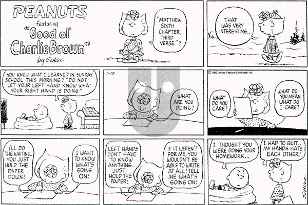 Peanuts - Sunday January 10, 1982 Comic Strip