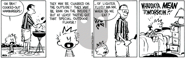 Calvin and Hobbes on Thursday August 9, 1990 Comic Strip