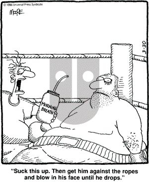 In the Bleachers on Saturday March 30, 1996 Comic Strip