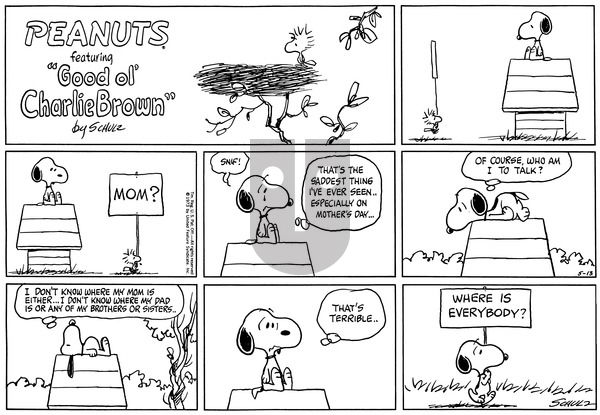 Peanuts on Sunday May 13, 1973 Comic Strip