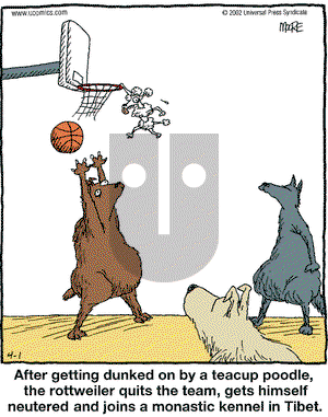 In the Bleachers on Monday April 1, 2002 Comic Strip