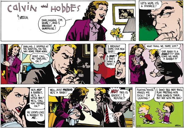 Calvin and Hobbes on Sunday July 9, 1989 Comic Strip