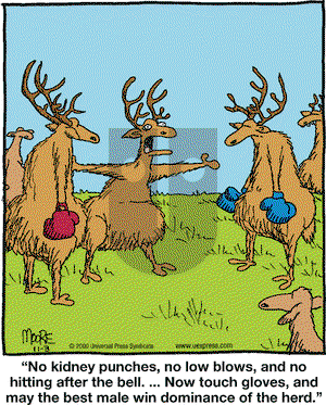 In the Bleachers on Friday November 3, 2000 Comic Strip