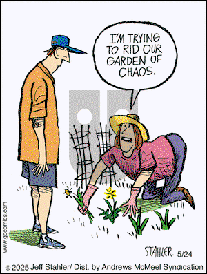 Moderately Confused on Saturday May 24, 2025 Comic Strip