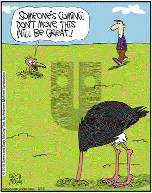 The Flying McCoys on Saturday February 16, 2019 Comic Strip