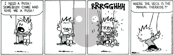 Calvin and Hobbes on Thursday July 1, 1993 Comic Strip