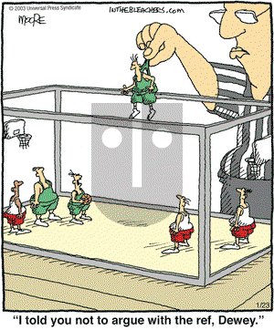 In the Bleachers on Tuesday January 23, 2007 Comic Strip