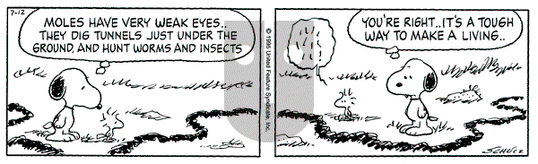 Peanuts on Tuesday June 10, 1997 Comic Strip