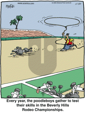 In the Bleachers on Wednesday November 30, 2005 Comic Strip