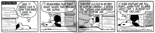 Peanuts - Friday October 3, 1958 Comic Strip