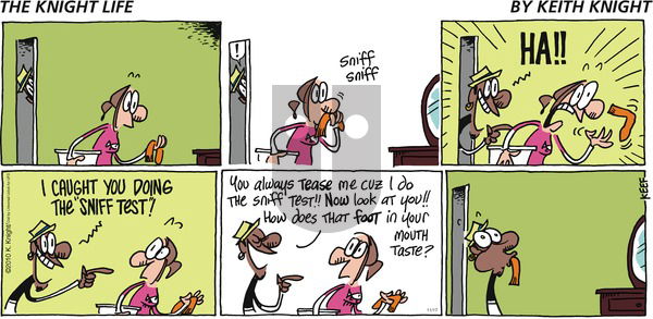 The Knight Life on Tuesday June 17, 2025 Comic Strip