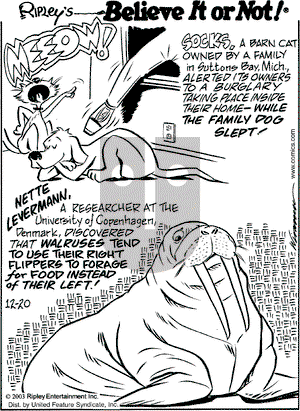Ripley's Believe It or Not on Saturday December 20, 2003 Comic Strip