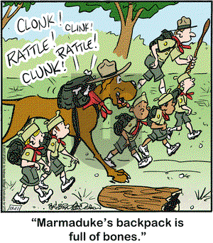 Marmaduke on Wednesday November 11, 2020 Comic Strip