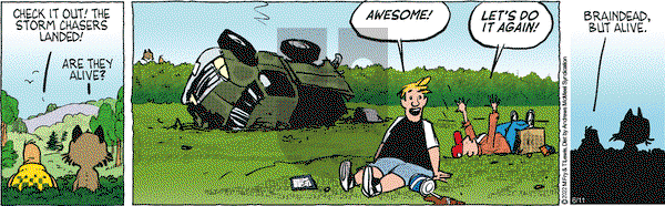 Over the Hedge on Wednesday June 11, 2025 Comic Strip