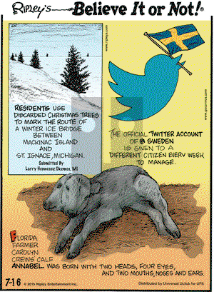 Ripley's Believe It or Not on Thursday July 16, 2015 Comic Strip